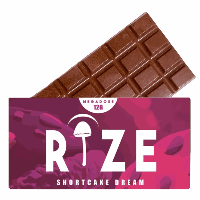 Rize Mushroom Chocolate Bar, Rize Mushroom Bars, Rize Chocolate, Rize bars for sale, rize shrooms chocolate, rize shrooms bars, rize mushroom chocolate