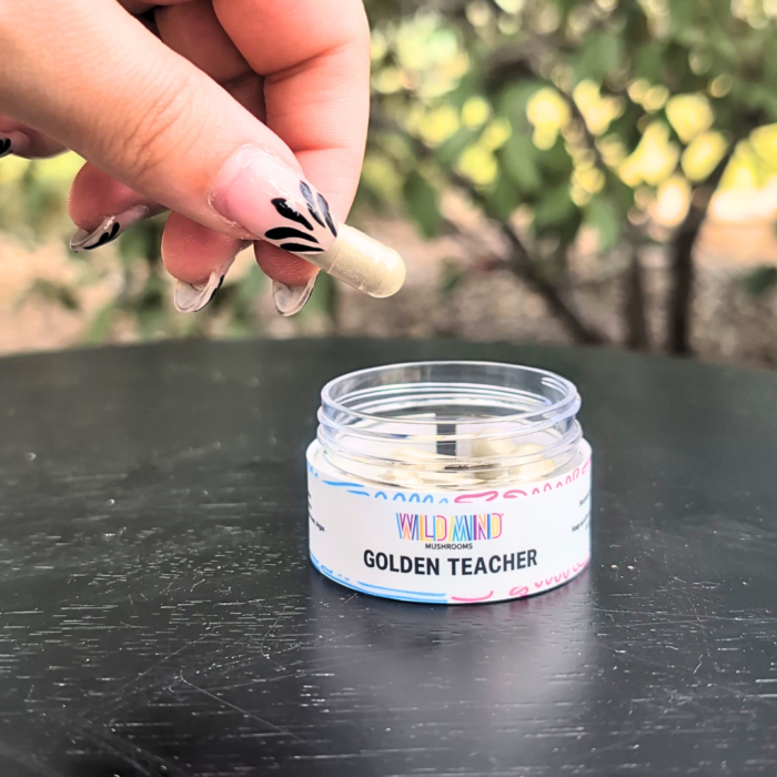 Golden Teacher capsules, Golden Teacher microdose capsules, buy microdose capsules, microdose capsules for sale, Golden Teacher mushroom, micro dose