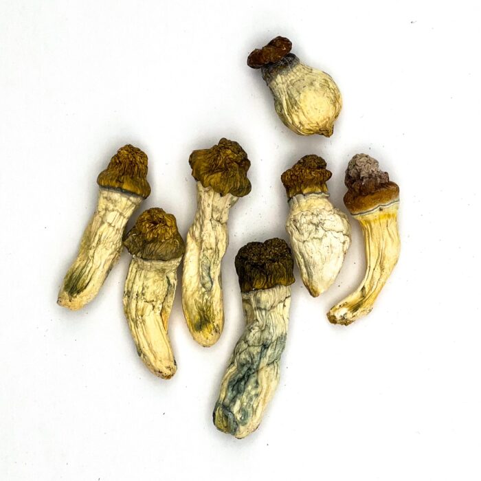Penis Envy Mushrooms Microdosing Capsules  20 pcs - Image 2