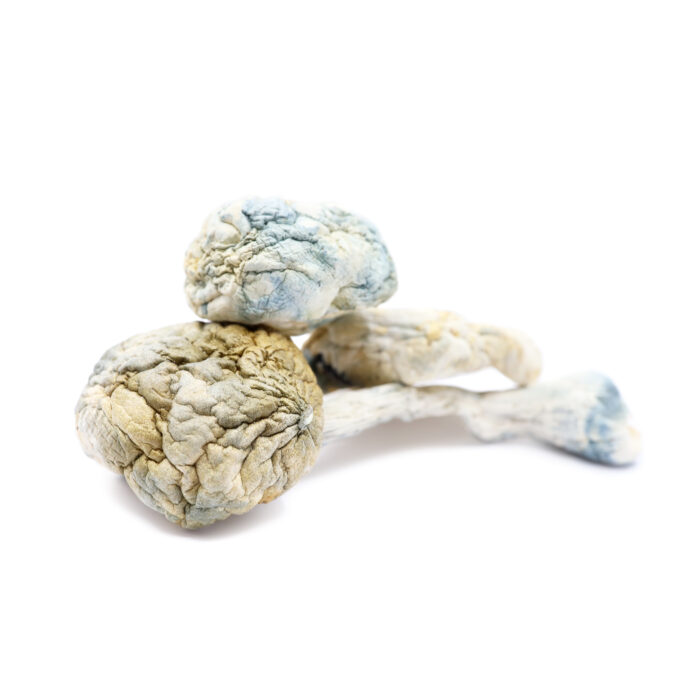 Alien Bubbles Magic Mushrooms, Alien Bubbles Mushrooms, Alien Bubbles shrooms, magic shrooms for sale, buy magic shrooms, magic mushroom for sale