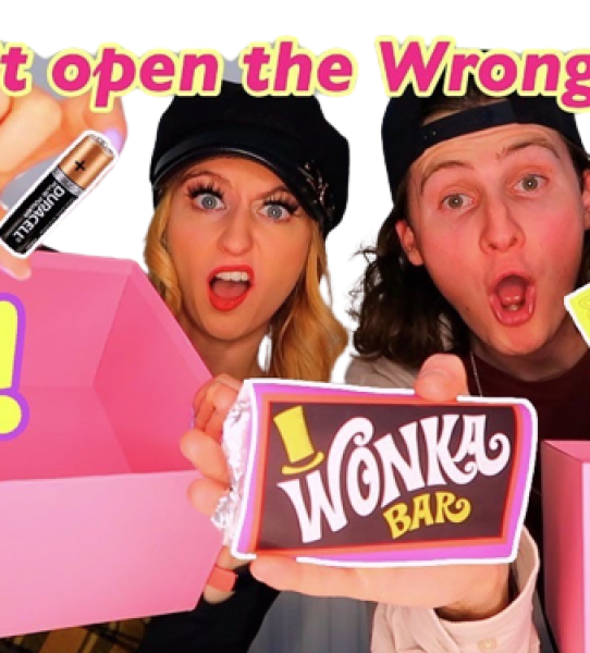 Wonka bar, wonka bars, wonka bar for sale, wonka chocolate bar, buy wonka bar, fun guy chocolate bar, fusion mushroom bar, willy wonka edible